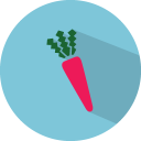 carrot 2 icon