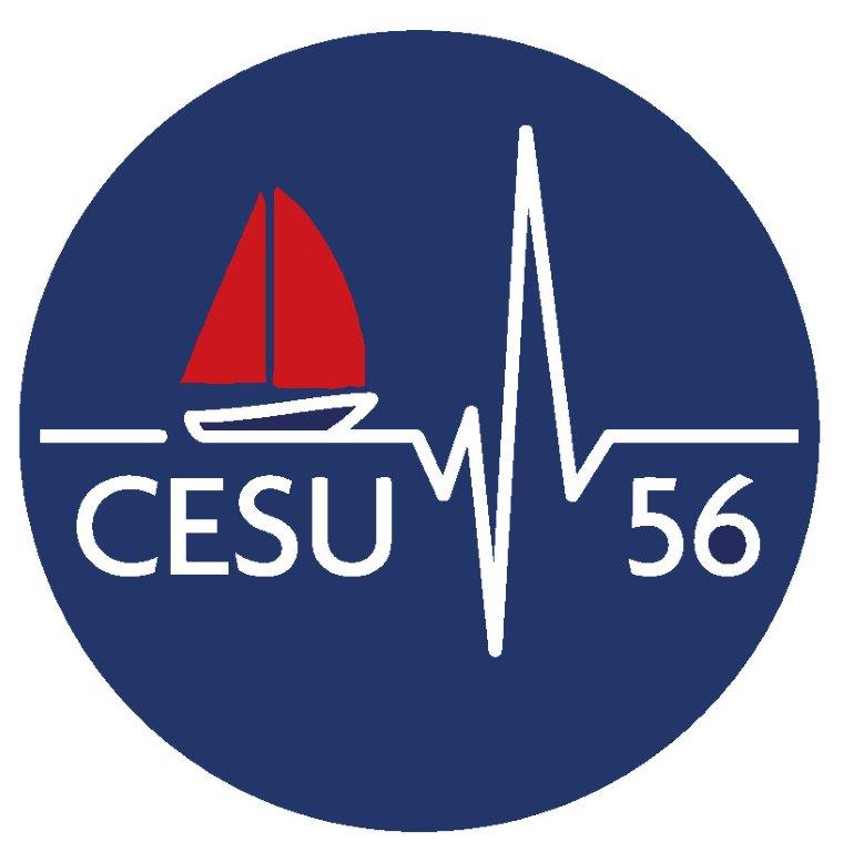 Logo CESU 56 1